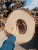 PRE-ORDER DAISY HEIFER