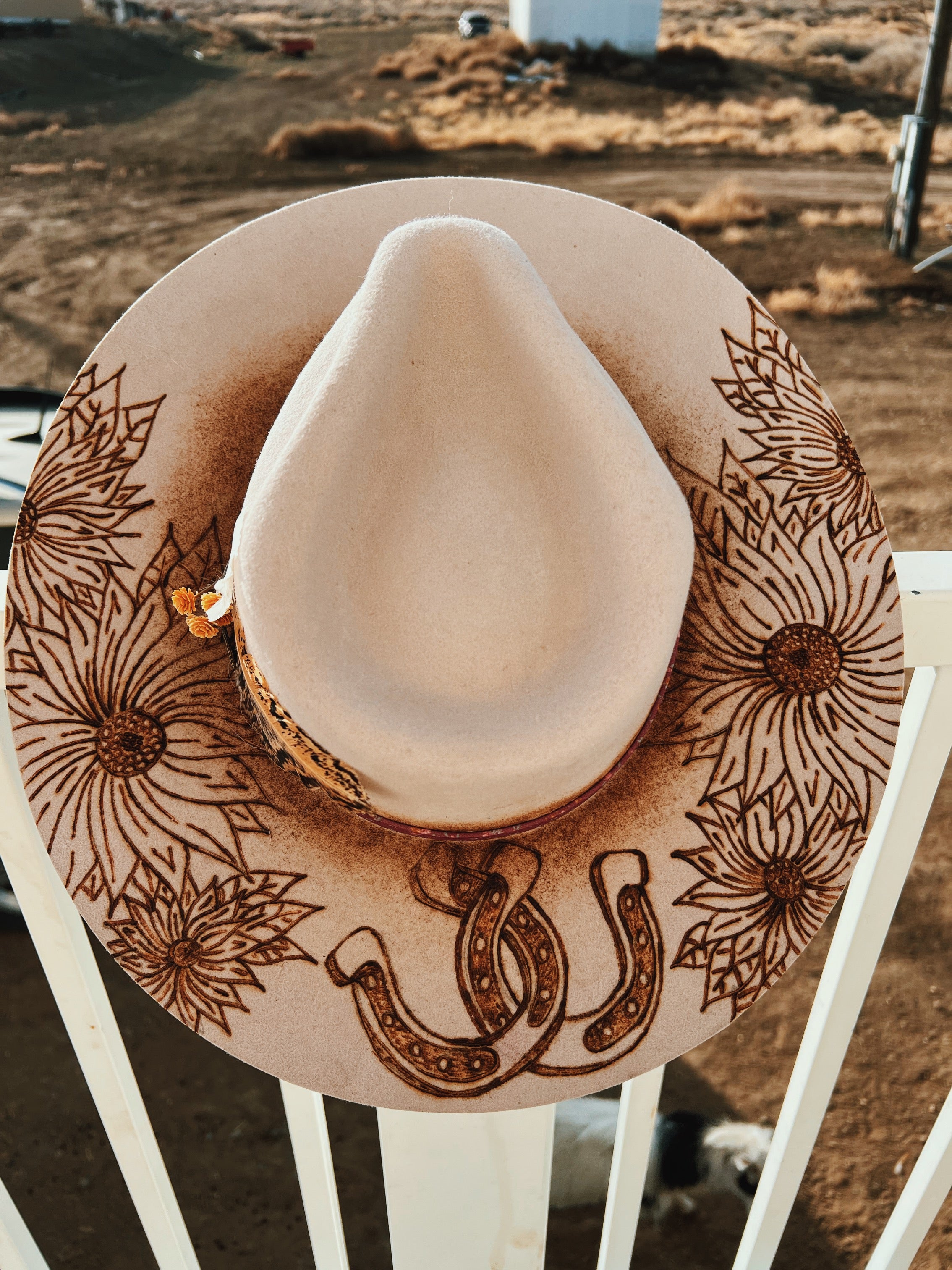 COWBOY TAKE ME AWAY